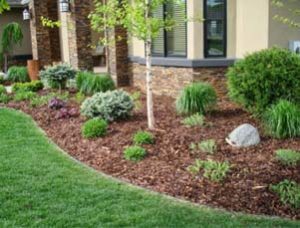 APPROVED MULCH